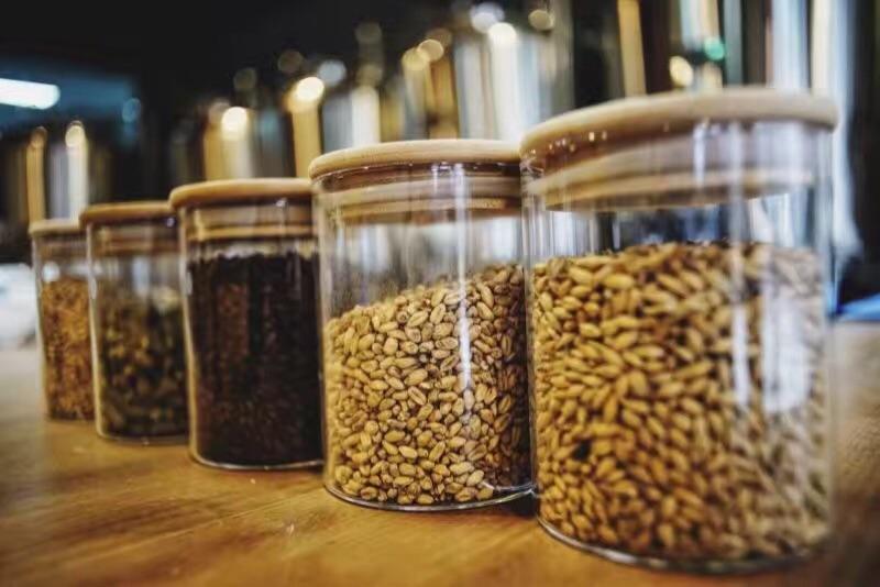 哪些種類的麥芽適合做精釀啤酒呢？