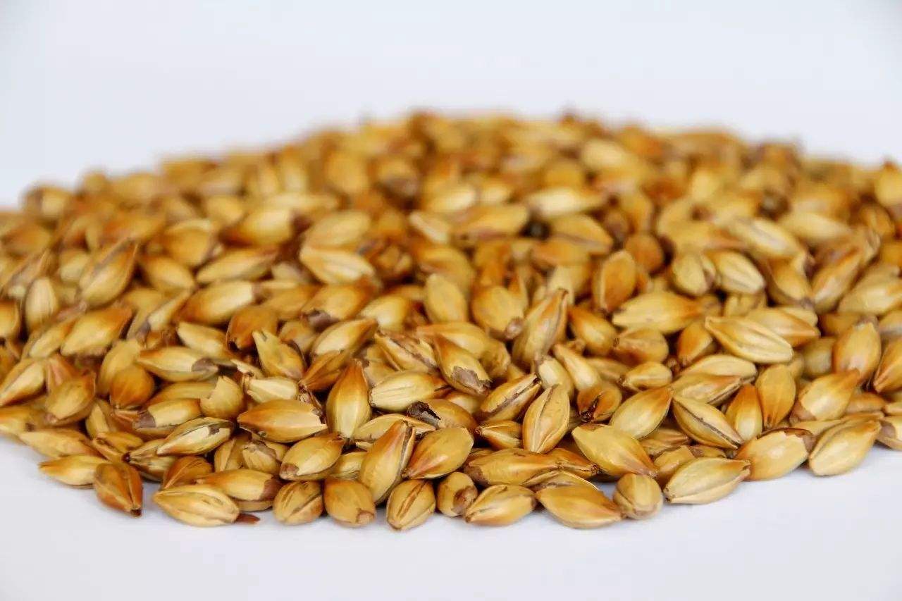 做精釀啤酒，如何選擇合適的粉碎機？