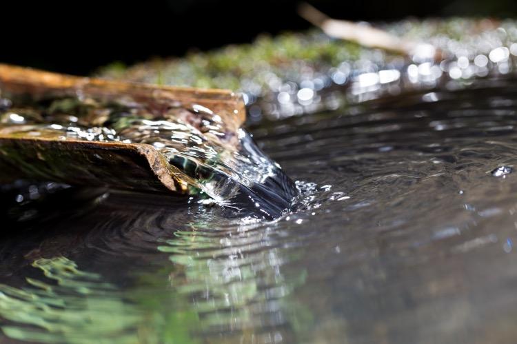 做精釀啤酒，如何處理釀造用水？