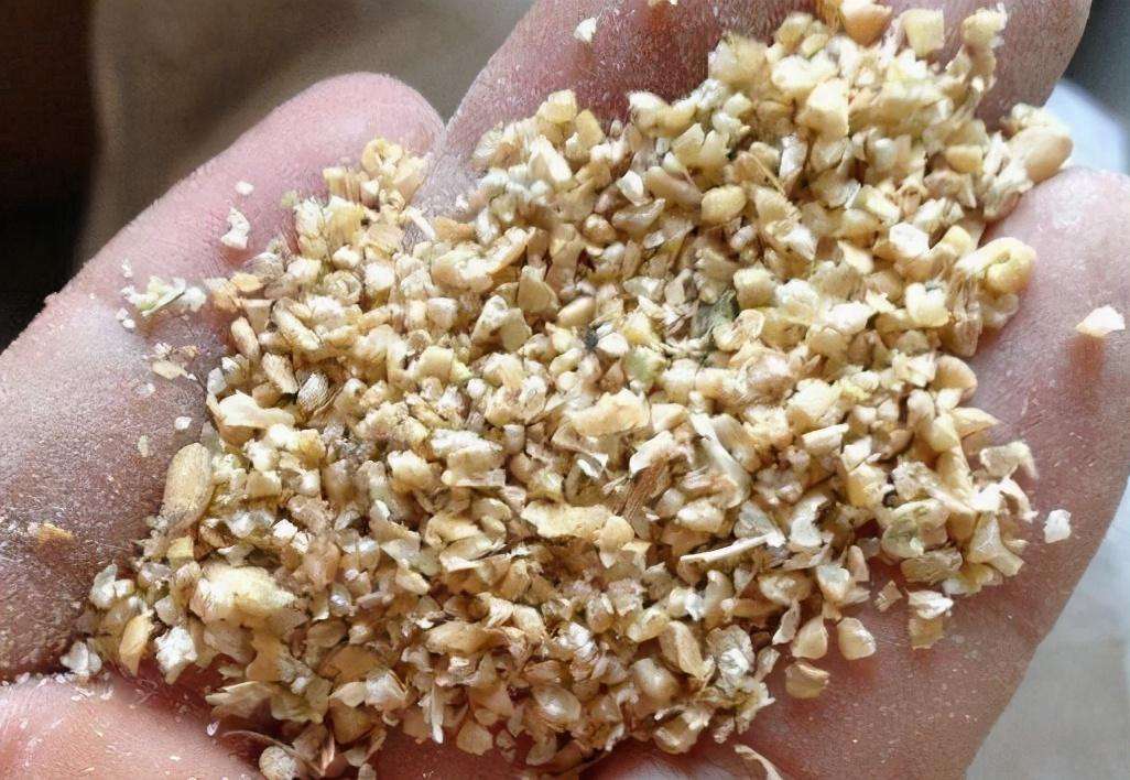 做精釀啤酒，如何更好地進(jìn)行麥芽粉碎呢？