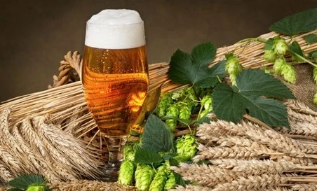 精釀啤酒中，如何選擇恰當?shù)慕湻椒ǎ?> </a>
    </dt> 
    <dd> 
     <h4><a href=